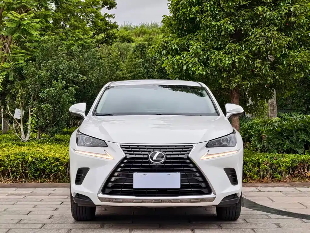 Lexus NX 2018 — фото 2