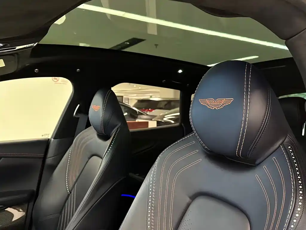 Aston Martin DBX 2021 — фото 11