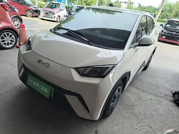 BYD Seagull 2024