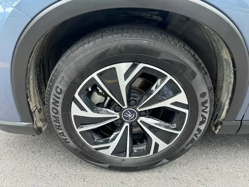 BYD Pro New Energy 2025 — фото 15