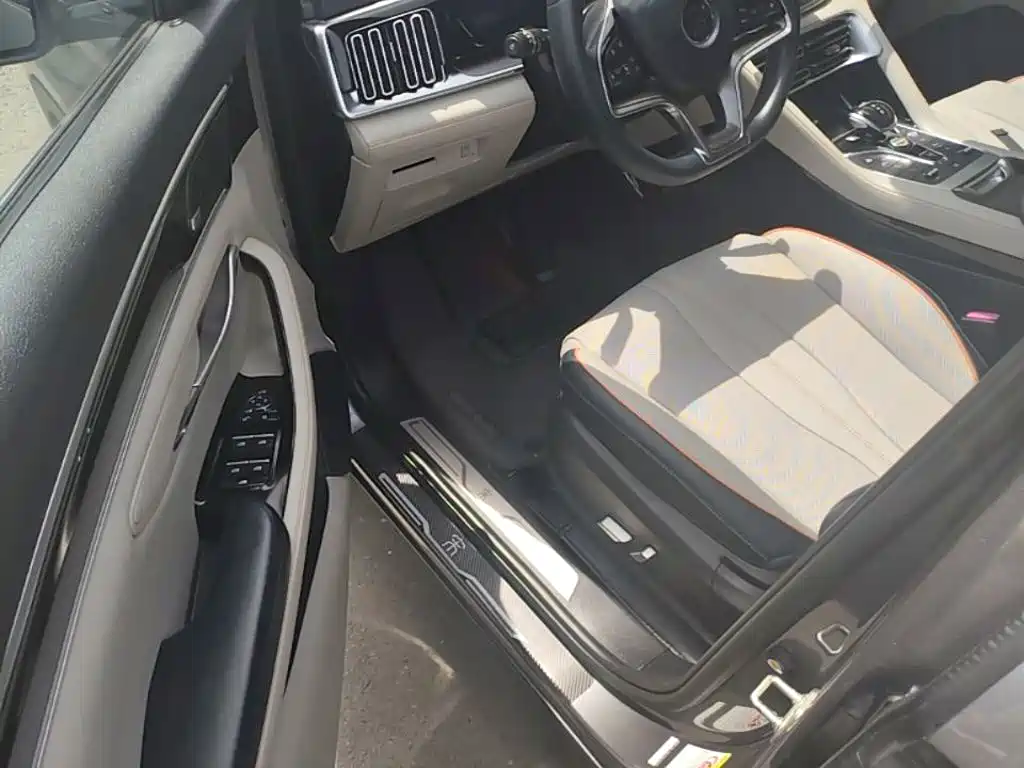 BYD PLUS New Energy 2022 — фото 16