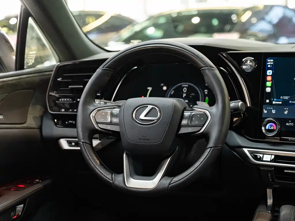 Lexus RX New Energy 2023 — фото 14
