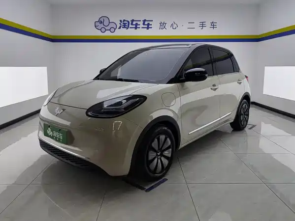 Wuling Bingo 2024