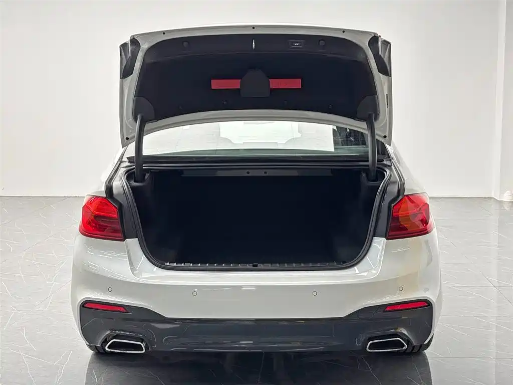 BMW 5 Series 2019 — фото 10