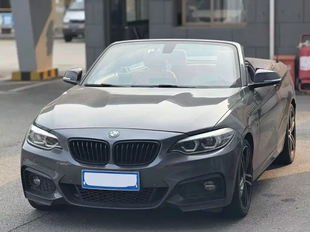 BMW 2 Series 2020 — фото 1