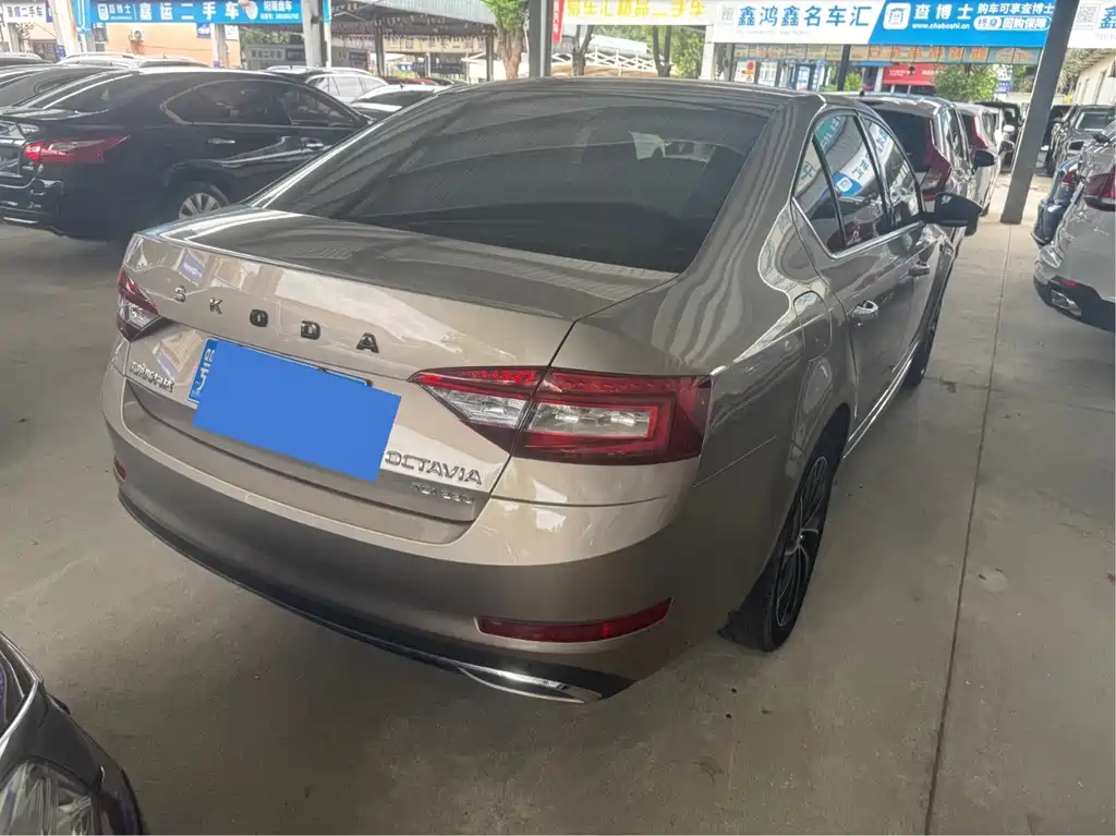 Skoda Octavia 2019 — фото 10