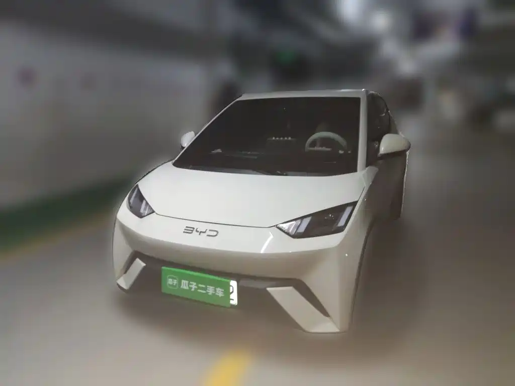 BYD Seagull 2024