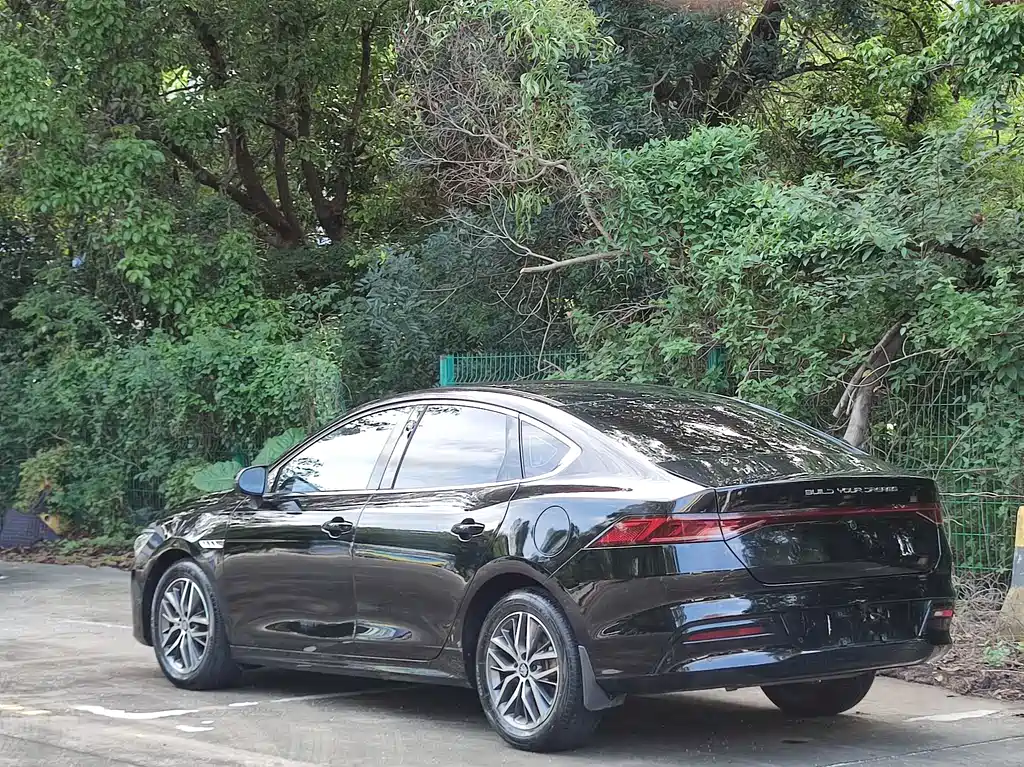 BYD Qin PLUS 2021