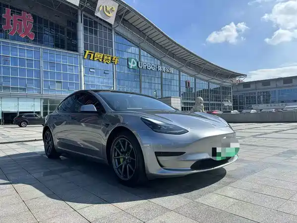 Tesla Model 3 2021
