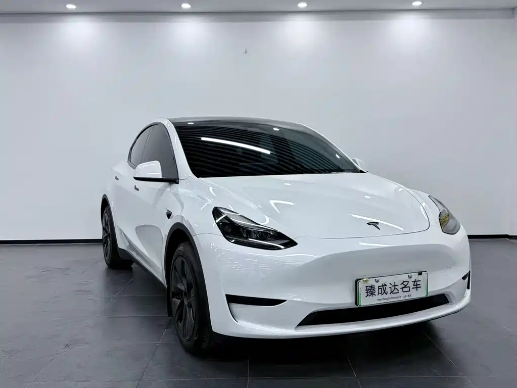 Tesla Model Y 2024 — фото 3