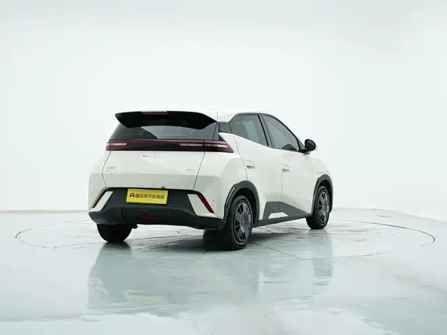 BYD Seagull 2024