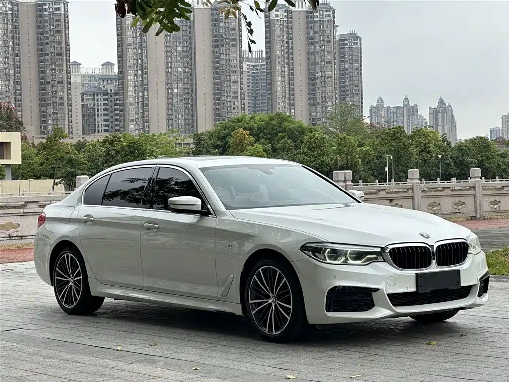 BMW 5 Series 2020