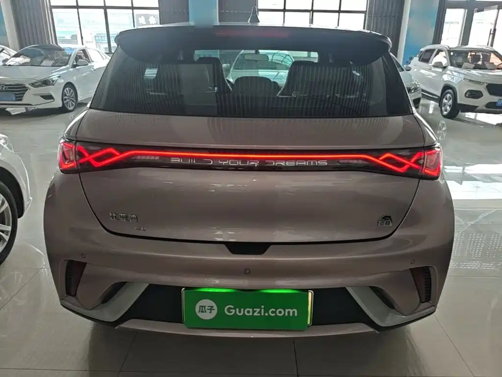 BYD Dolphin 2022