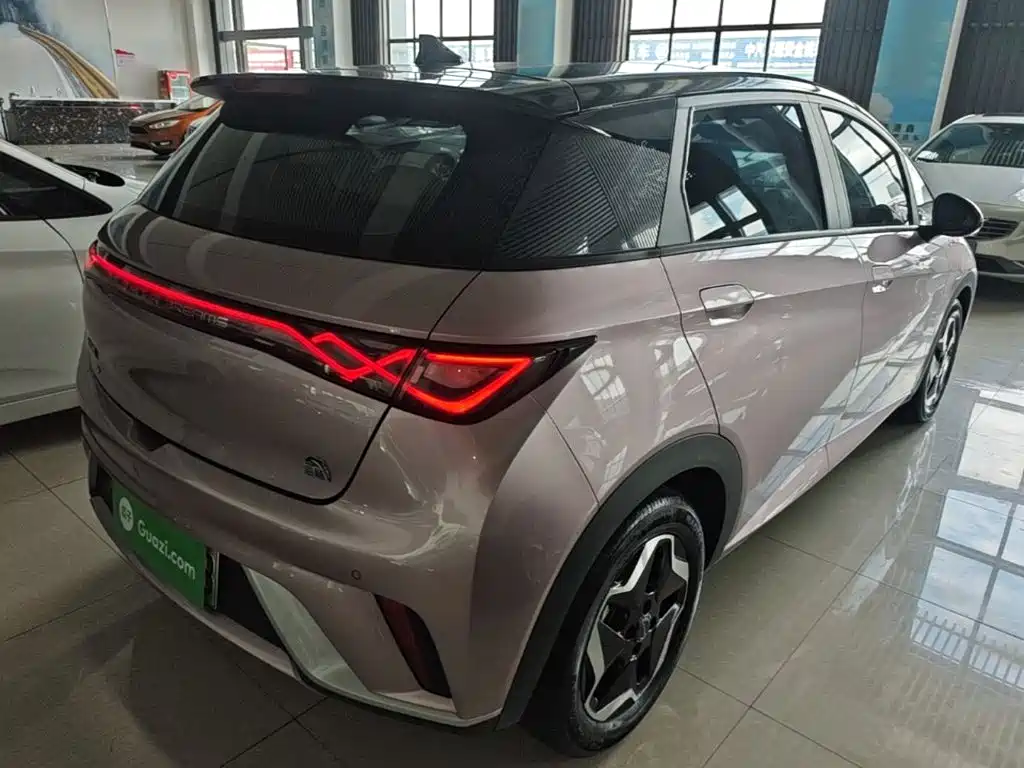 BYD Dolphin 2022