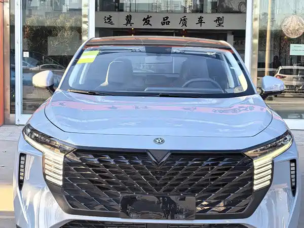 Venucia Big V 2023