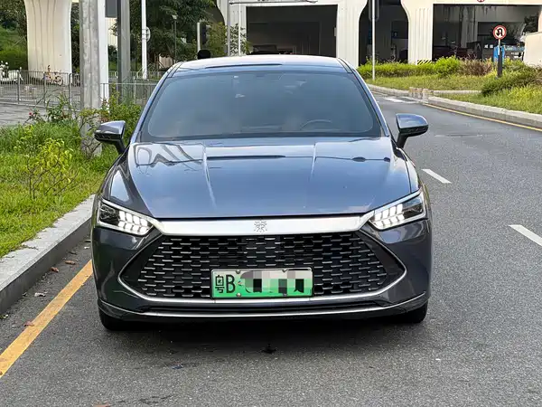BYD Qin PLUS 2024