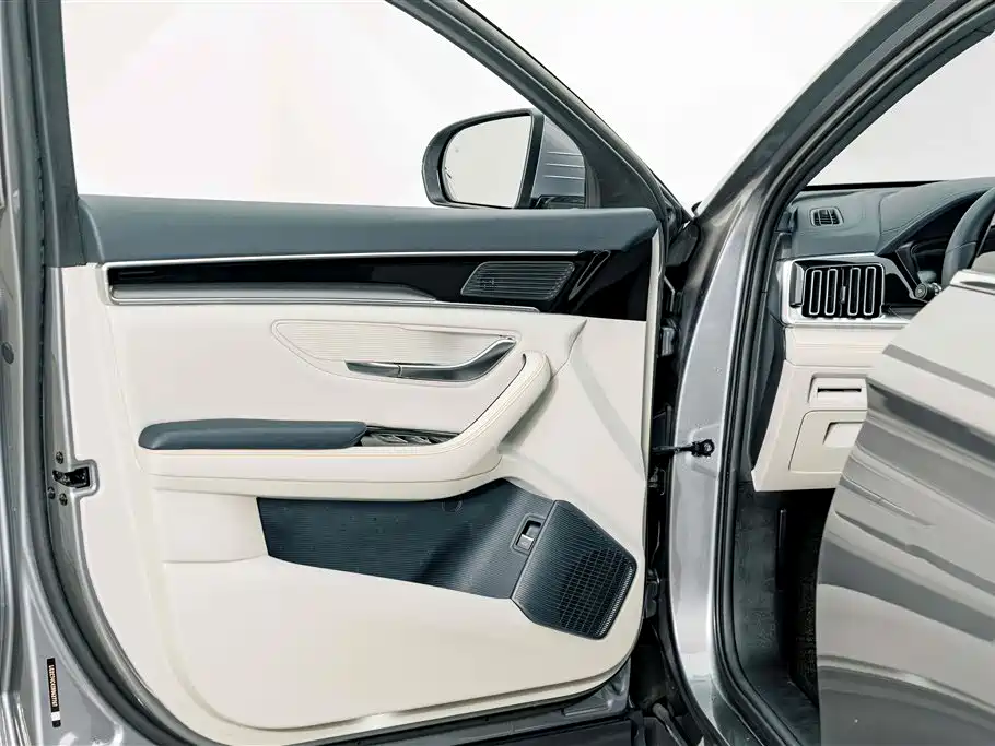 BYD Song PLUS New Energy 2022 — фото 17