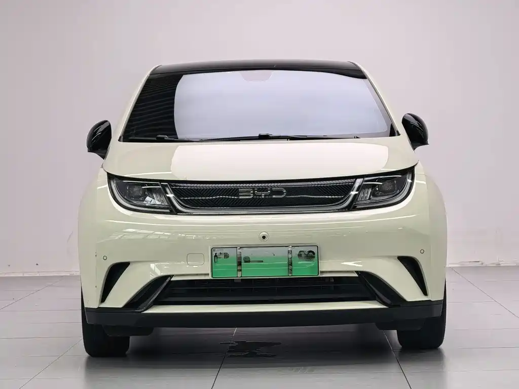 BYD Dolphin 2024