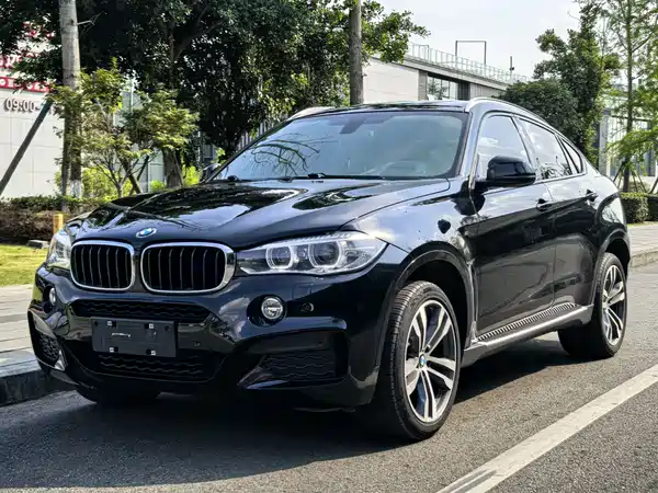 BMW X6 2018