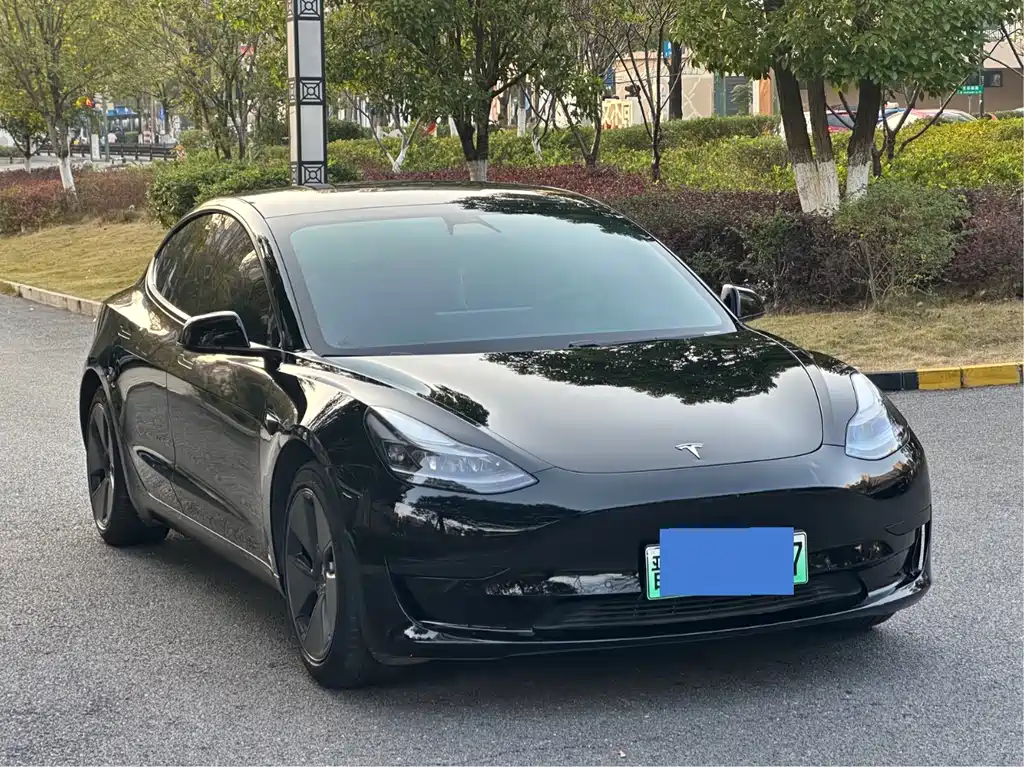 Tesla Model 3 2021 — фото 1