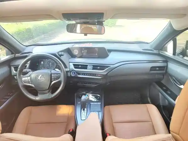 Lexus UX New Energy 2022