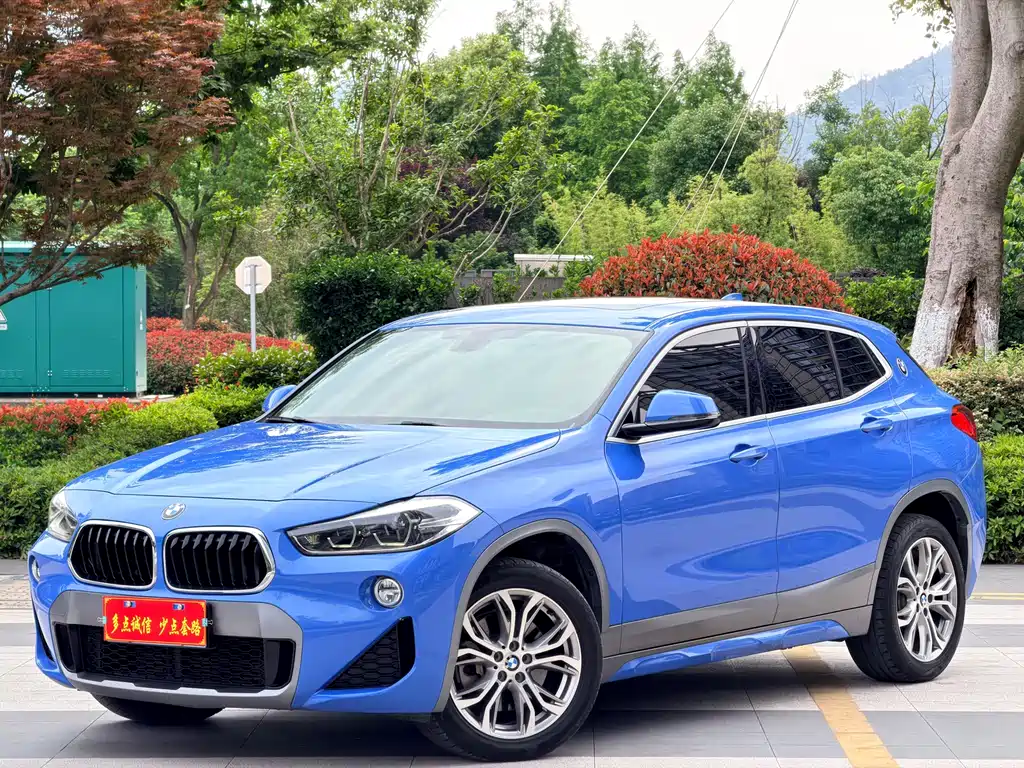 BMW X2 2019 — фото 1
