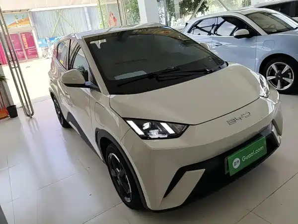 BYD Seagull 2024
