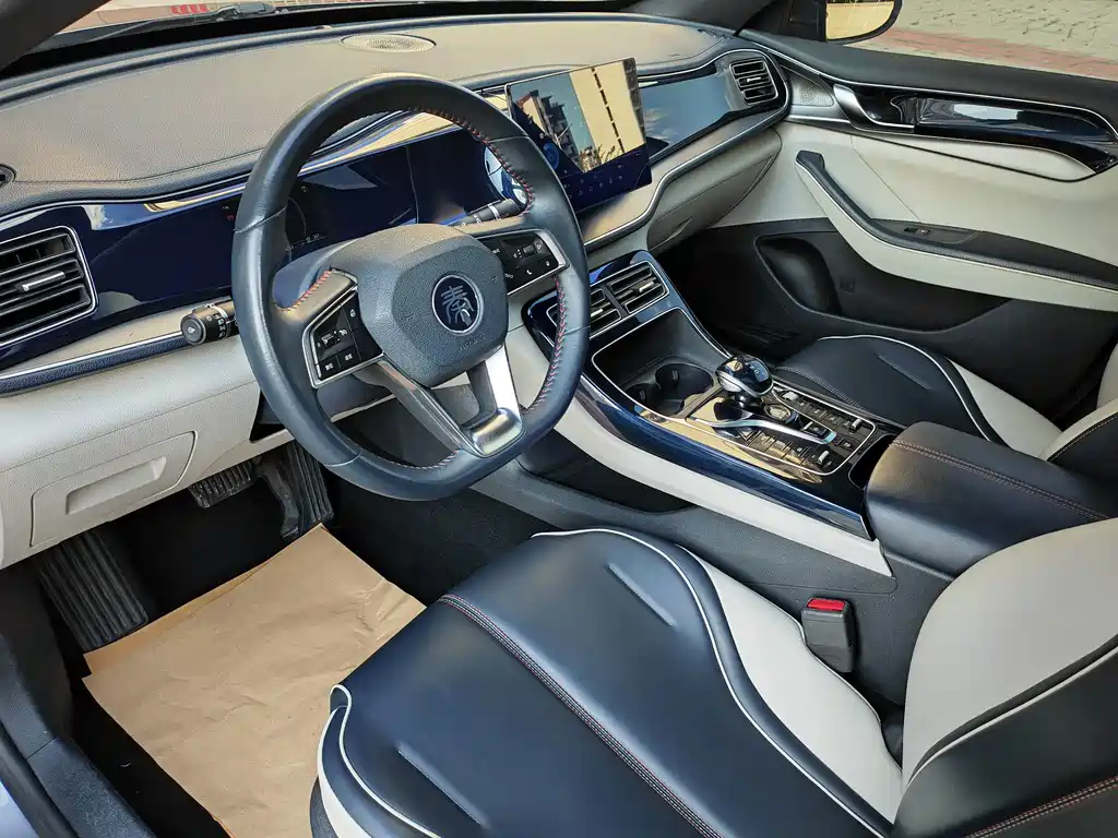 BYD Qin PLUS 2021 — фото 11
