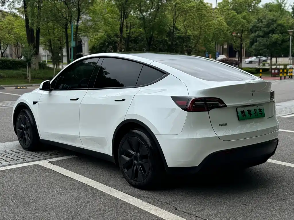 Tesla Model Y 2024 — фото 8