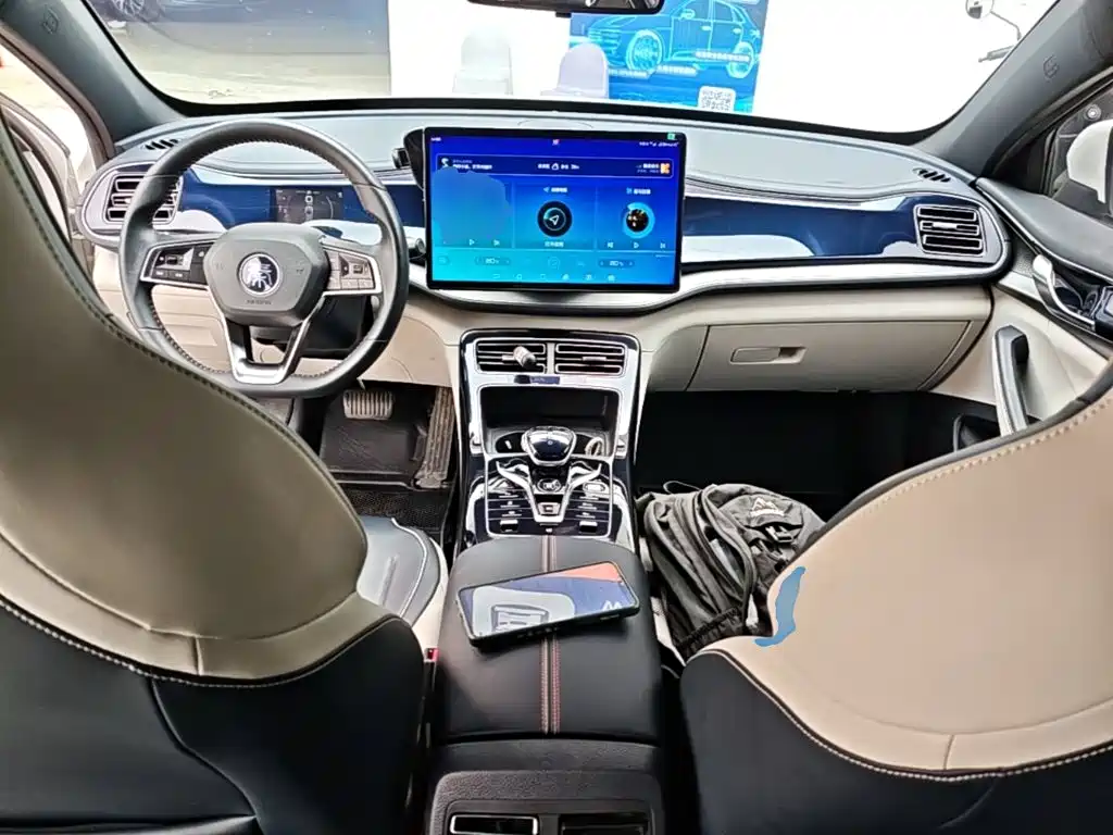 BYD Qin PLUS 2021 — фото 10
