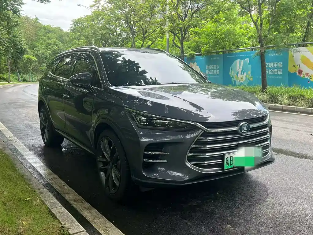 BYD Tang New Energy 2019 — фото 3