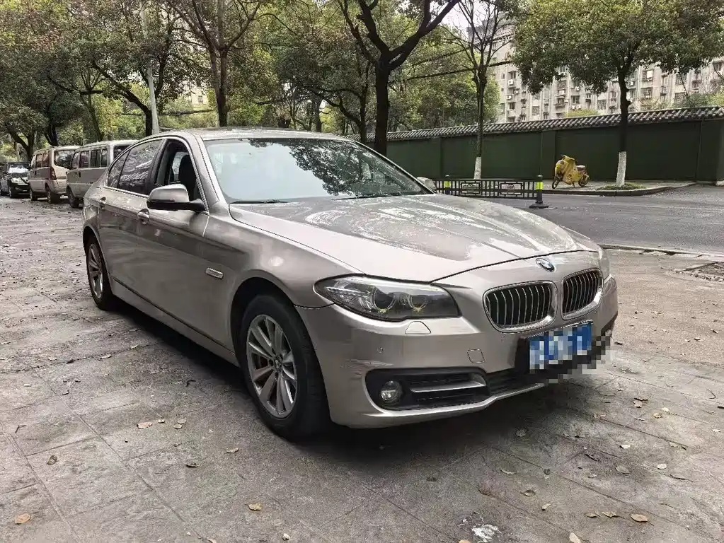 BMW 5 Series 2014 — фото 1