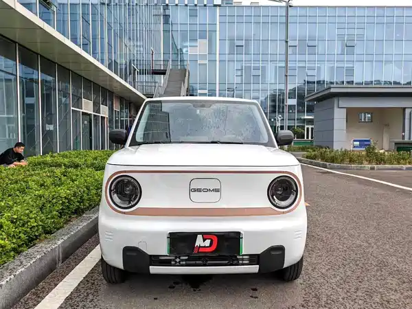 Geely Galaxy Panda 2024