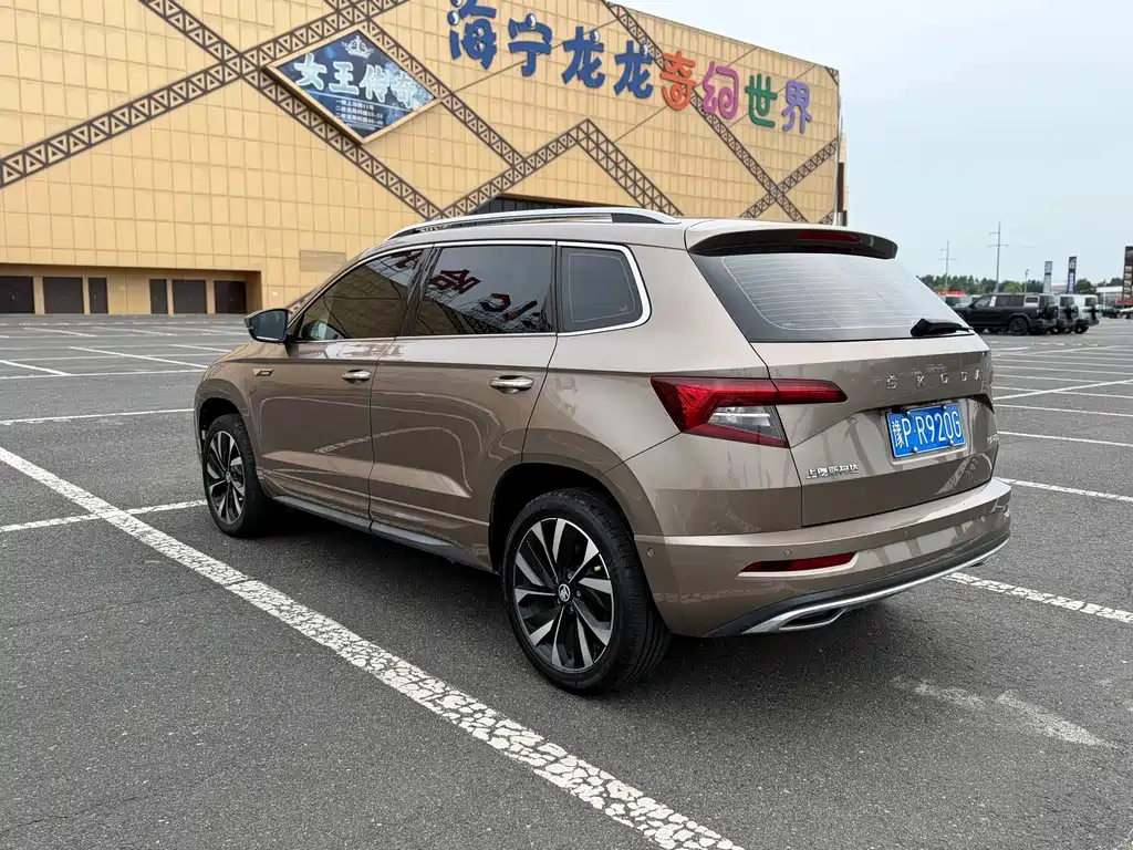 Skoda Karoq 2022 — фото 5