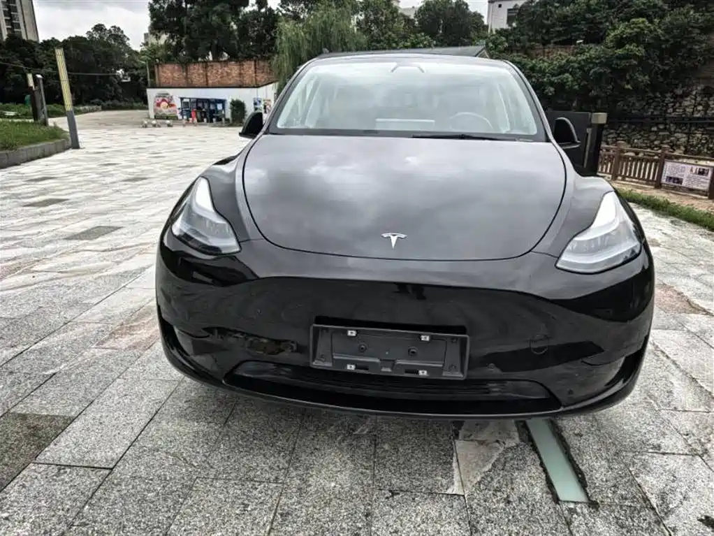 Tesla Model Y 2023 — фото 2