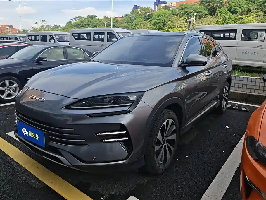 BYD PLUS New Energy 2024