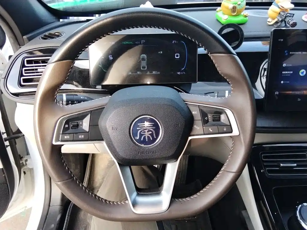 BYD Qin PLUS 2024
