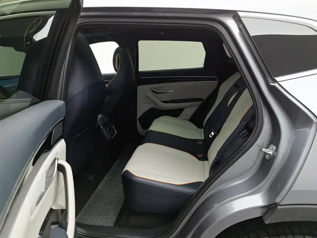 BYD PLUS New Energy 2023 — фото 15
