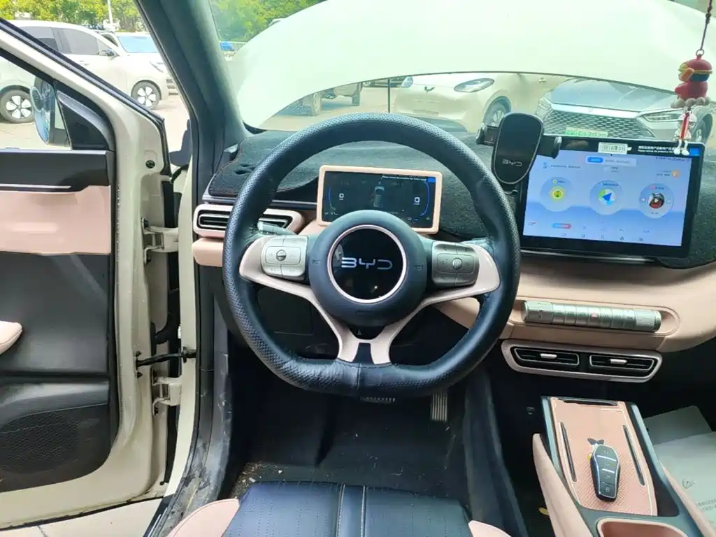 BYD Seagull 2024