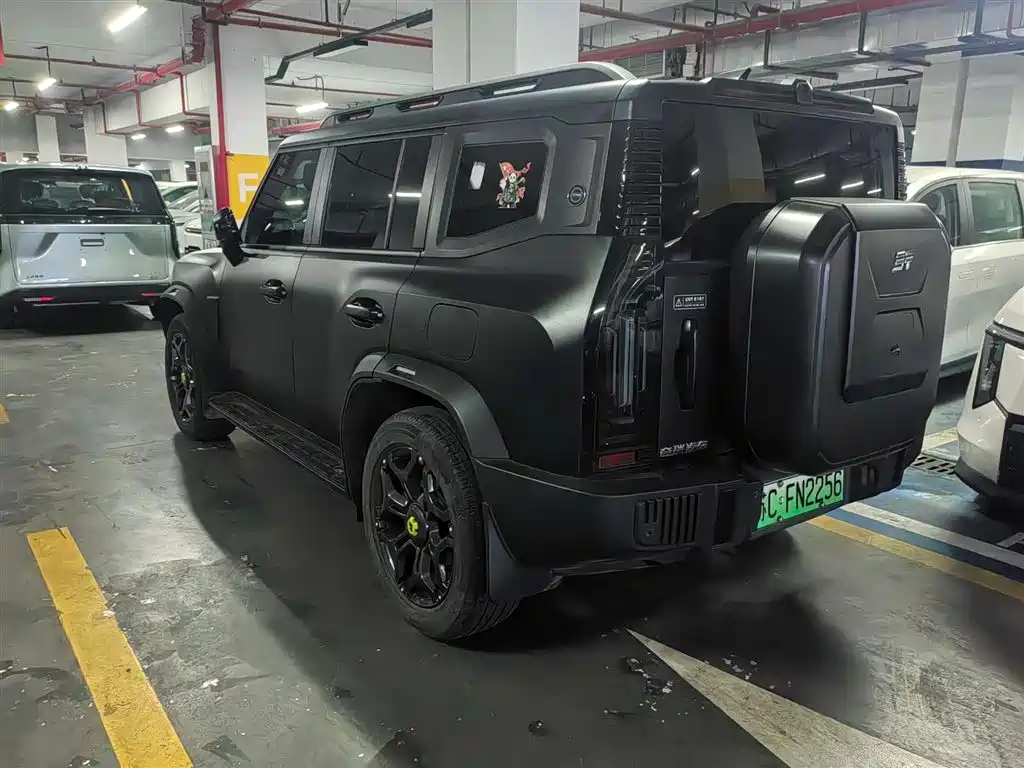 Shanhai Traveller C-DM 2024 — фото 3