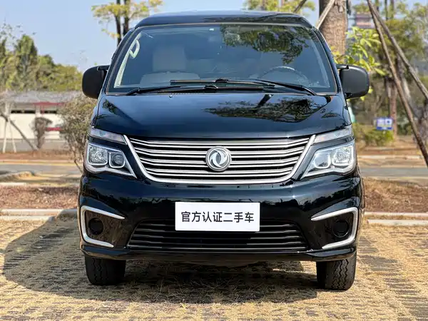 Dongfeng Lingzhi 2020