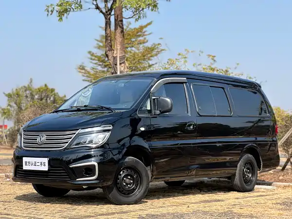 Dongfeng Lingzhi 2020