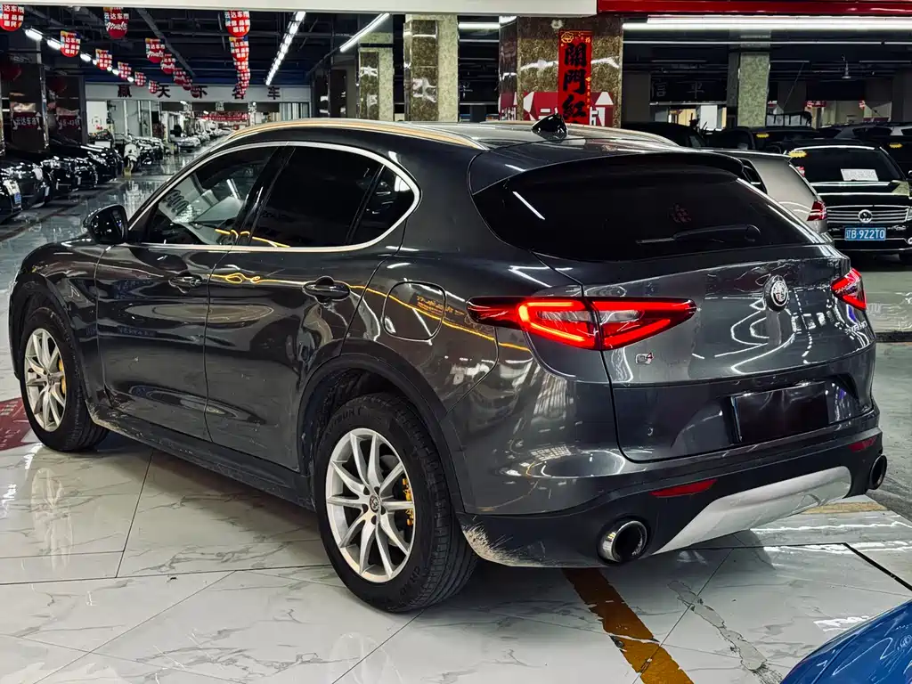 Alfa Romeo Stelvio 2019 — фото 14