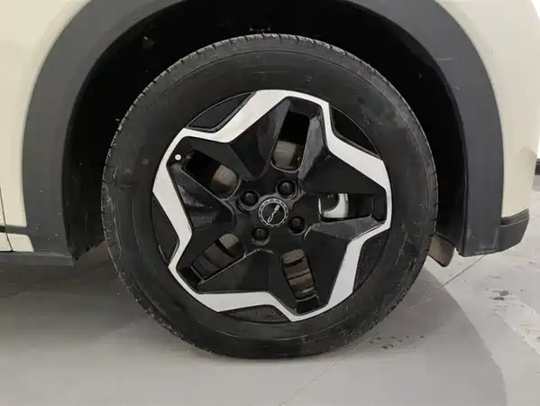 BYD Dolphin 2023