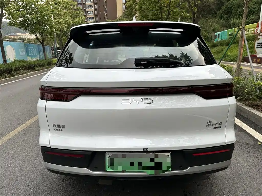 BYD Pro New Energy 2025 — фото 6