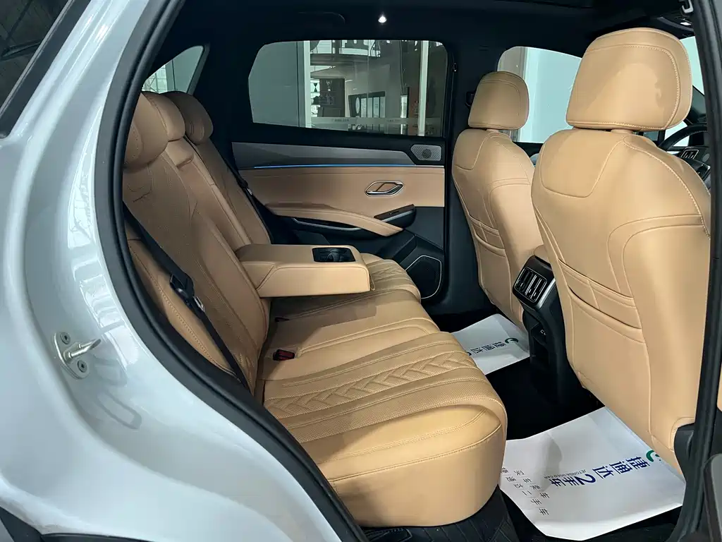 BYD L DM-i 2024 — фото 30