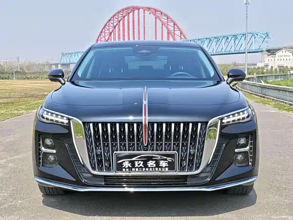 Hongqi H5 2024