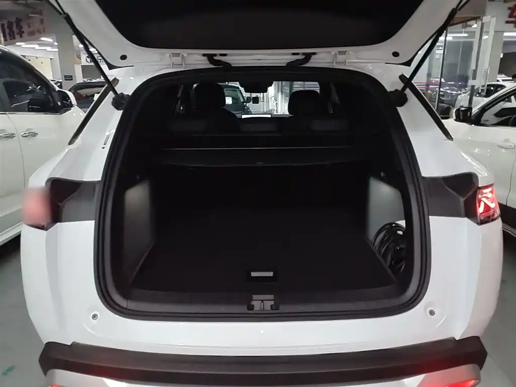 BYD L DM-i 2025 — фото 19
