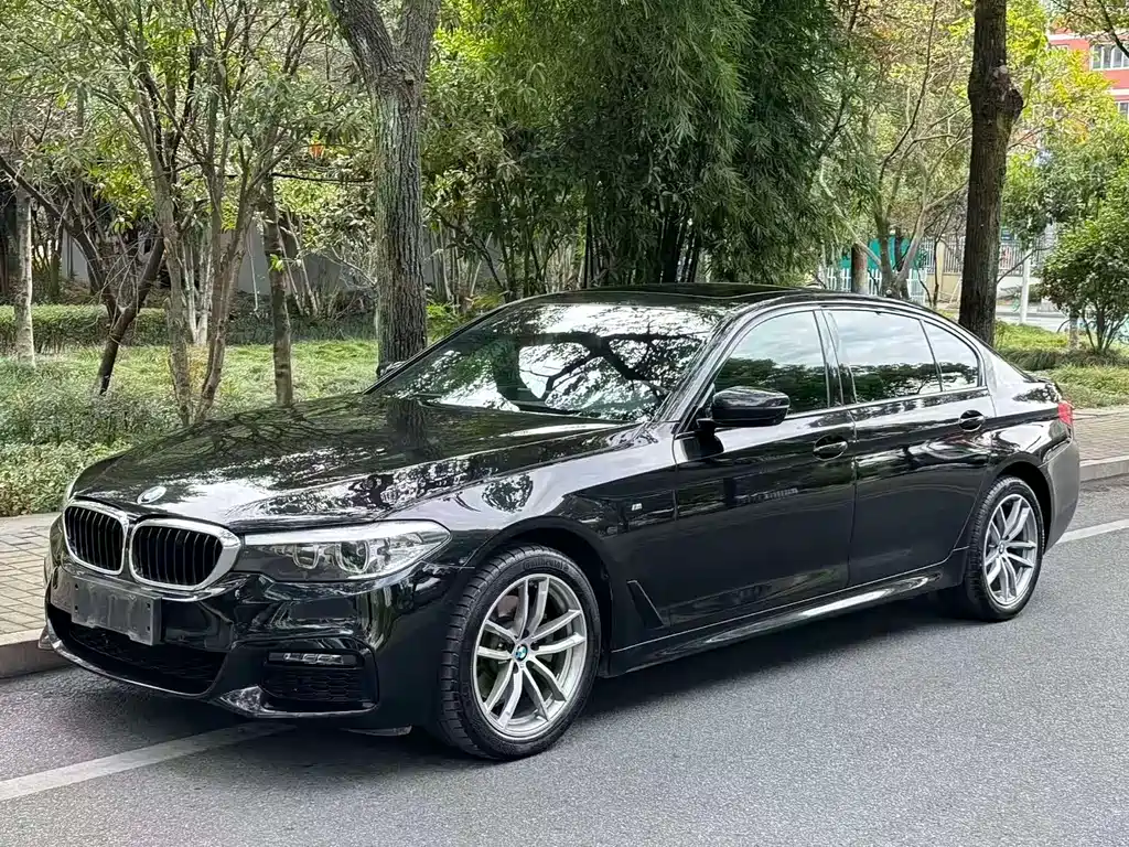 BMW 5 Series 2019 — фото 2