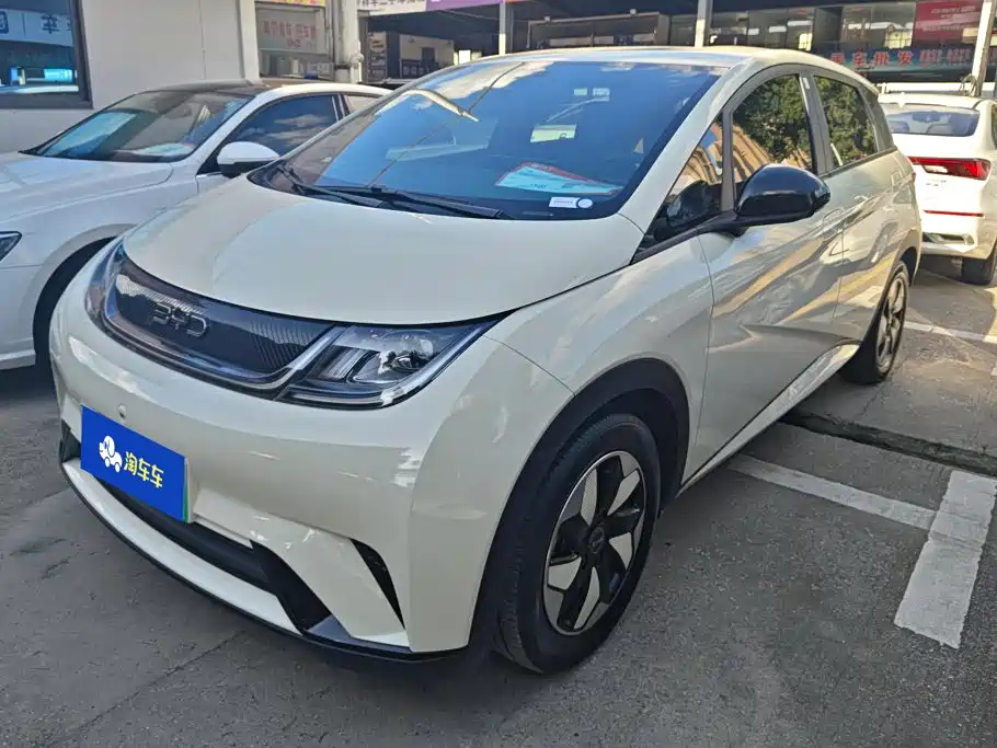 BYD Dolphin 2024